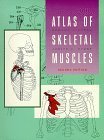 9780697137906: Atlas of Skeletal Muscles