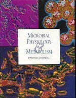 Beispielbild fr Microbial Physiology and Metabolism zum Verkauf von Better World Books