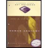Beispielbild fr Human Anatomy: Notebook zum Verkauf von Wonder Book