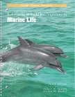 Stock image for Laboratory & Field Investigations in Marine Life: Gulf Coast Version for sale by ThriftBooks-Dallas