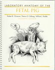 Beispielbild fr Laboratory Anatomy of the Fetal Pig zum Verkauf von Wonder Book