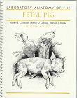 Stock image for Laboratory Anatomy of the Fetal Pig for sale by ThriftBooks-Atlanta