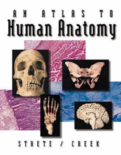 9780697387936: An Atlas To Human Anatomy by Strete/Creek