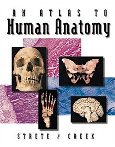 Stock image for An Atlas to Human Anatomy by Strete/Creek for sale by Better World Books
