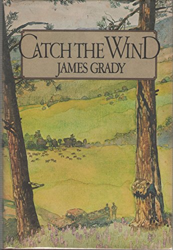 Imagen de archivo de Catch the Wind a la venta por Wonder Book