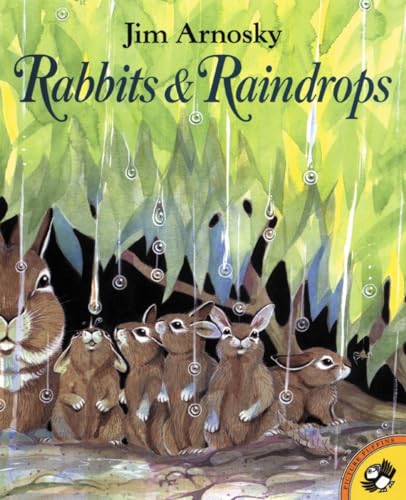 Imagen de archivo de Rabbits and Raindrops (Picture Puffin Books) a la venta por Wonder Book