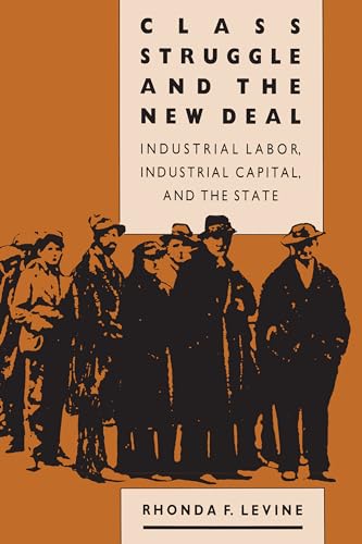 Imagen de archivo de Class Struggle and the New Deal: Industrial Labor, Industrial Capital, and the State a la venta por BooksRun