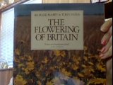 Stock image for The Flowering of Britain for sale by WorldofBooks