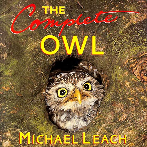 9780701137861: The Complete Owl