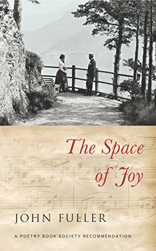 Stock image for The Space of Joy for sale by Better World Books
