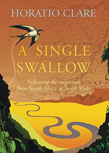 9780701183127: A Single Swallow: Following An Epic Journey From South Africa To South Wales