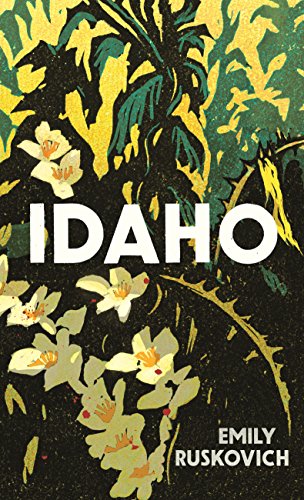Stock image for Idaho for sale by WorldofBooks