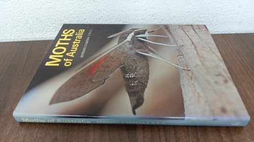 Beispielbild fr Moths of Australia zum Verkauf von Yesterday's Books