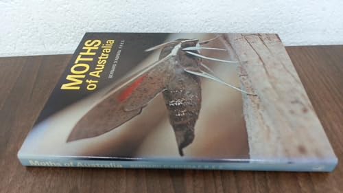 Stock image for Moths of Australia for sale by Yesterday's Books