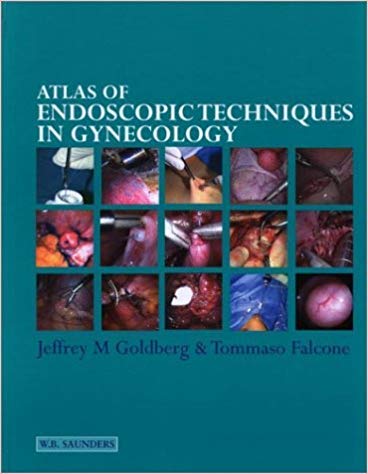 Imagen de archivo de Atlas of Endoscopic Techniques in Gynaecology a la venta por HPB-Red