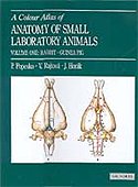 Imagen de archivo de Colour Atlas of Anatomy of Small Laboratory Animals: Volume 1 a la venta por Romtrade Corp.