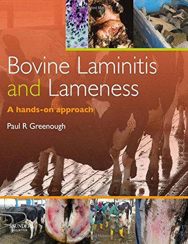 Beispielbild fr Bovine Laminitis and Lameness: A Hands on Approach zum Verkauf von Salish Sea Books