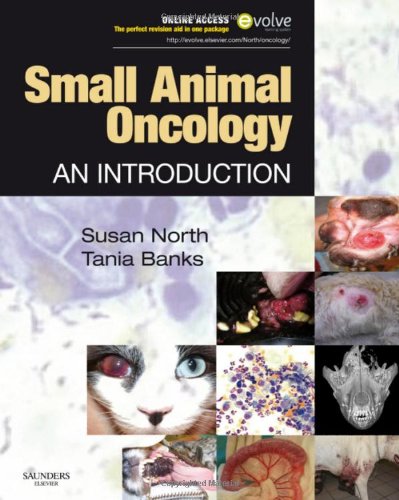 9780702028007: Small Animal Oncology: An Introduction