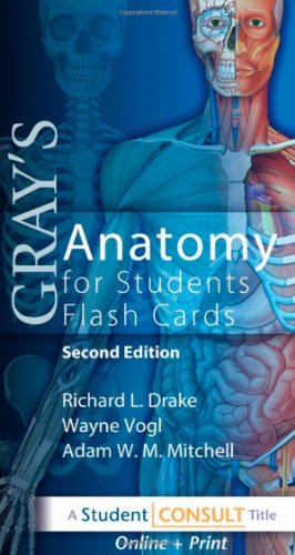 Beispielbild fr Gray's Anatomy for Students Flash Cards: with STUDENT CONSULT Online Access zum Verkauf von HPB-Red