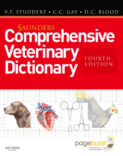 Stock image for Saunders Comprehensive Veterinary Dictionary : Includes EBook Access for sale by Buchpark