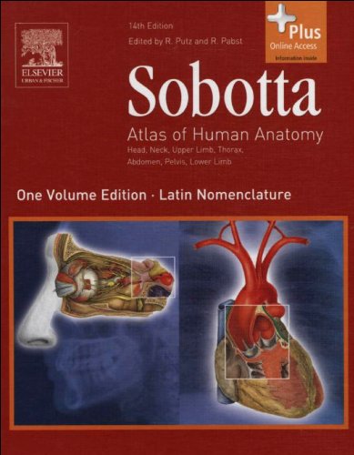 9780702033223: ATLAS OF HUMAN ANATOMY