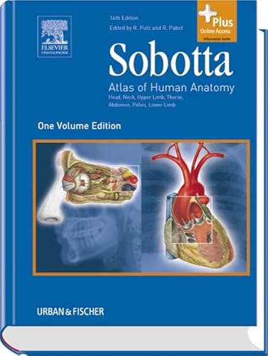 Sobotta - Atlas of Human Anatomy one volume edition: Head, Neck, Upper Limb, Trunk, Viscera, Lower Limb - mit Zugang zum Elsevier-Portal - Putz, Reinhard