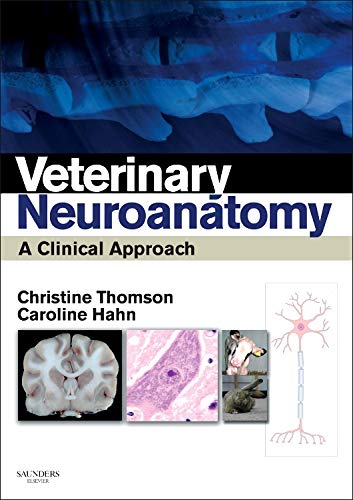 9780702034824: Veterinary Neuroanatomy: A Clinical Approach