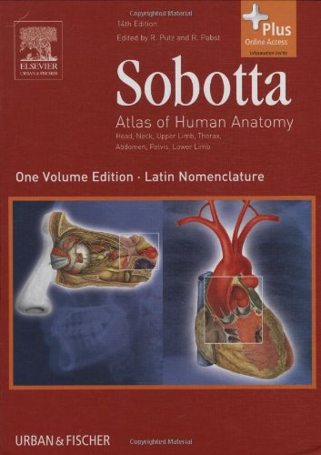 9780702034831: Sobotta: Atlas of Human Anatomy