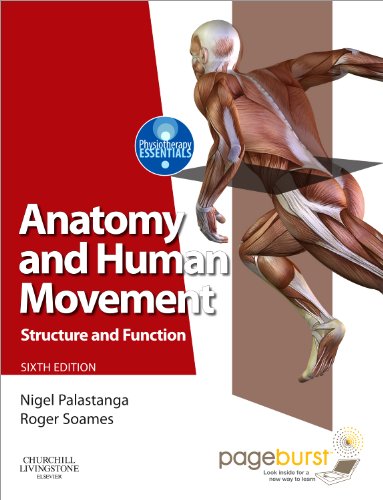 Stock image for Anatomy and Human Movement: Structure and function with PAGEBURST Access, 6e (Physiotherapy Essentials) for sale by dsmbooks