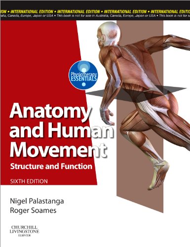 9780702040535: Anatomy and Human Movement: Structure and Function