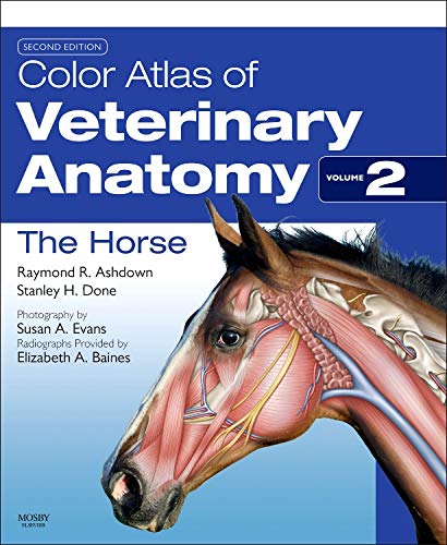 Color Atlas of Veterinary Anatomy, Volume 2, The Horse (Paperback) - Raymond R. Ashdown