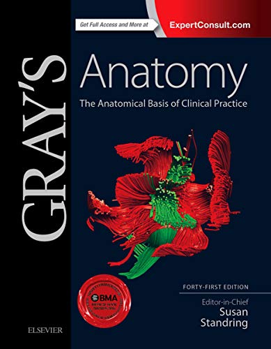 Beispielbild fr Gray's Anatomy: The Anatomical Basis of Clinical Practice zum Verkauf von HPB-Red