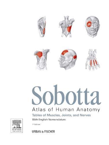 Imagen de archivo de Sobotta Tables of Muscles, Joints and Nerves, English: Tables Sobotta Atlas a la venta por Revaluation Books
