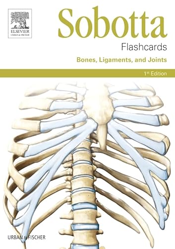 Imagen de archivo de Sobotta Flashcards Bones, Ligaments, and Joints a la venta por medimops