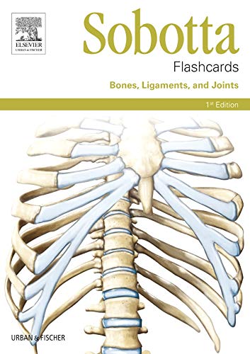 9780702052576: Sobotta Flashcards Bones, Ligaments, and Joints: Bones, Ligaments, and Joints, 1e