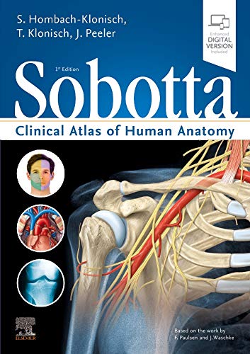 Imagen de archivo de Sobotta Clinical Atlas of Human Anatomy, one volume, English, 1e a la venta por Majestic Books