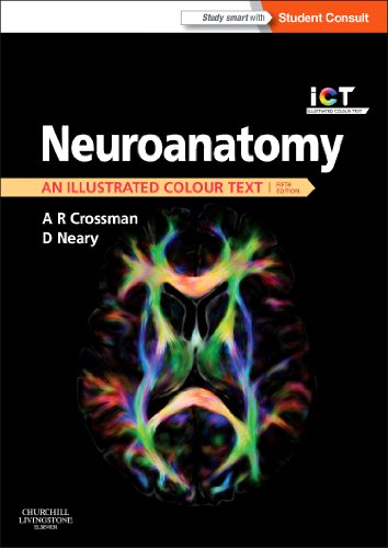 Beispielbild fr Neuroanatomy: an Illustrated Colour Text, 5e zum Verkauf von BooksRun