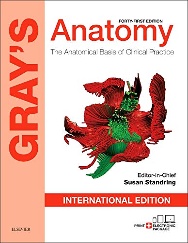 9780702063060: Gray's Anatomy: The Anatomical Basis of Clinical Practice