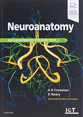 Stock image for Neuroanatomy: an Illustrated Colour Text for sale by HPB-Red