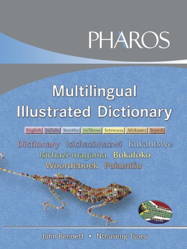 Stock image for Multilingual Illustrated Dictionary: English, IsiZulu, Sesotho, IsiXhosa, Setswana, Afrikaans, Sepedi for sale by WorldofBooks