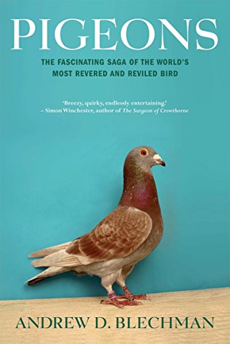 9780702236419: Pigeons - the Fascinating Saga of the World's most revered and Reviled Bird
