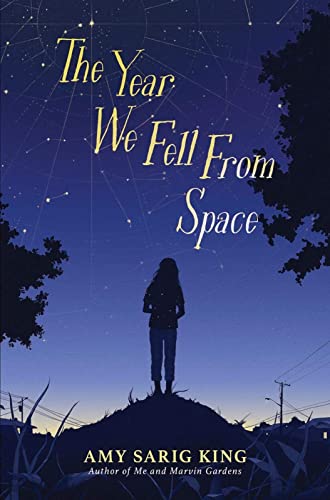 Stock image for The Year We Fell from Space for sale by Better World Books
