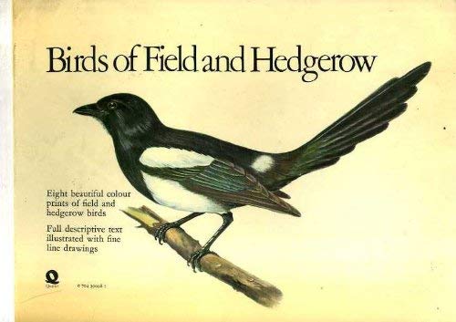 Beispielbild fr Birds of Field and Hedgerow zum Verkauf von WorldofBooks