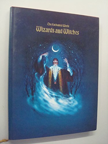 Wizards & Witches (Enchant World) (9780705408806) by Brenda Lehane