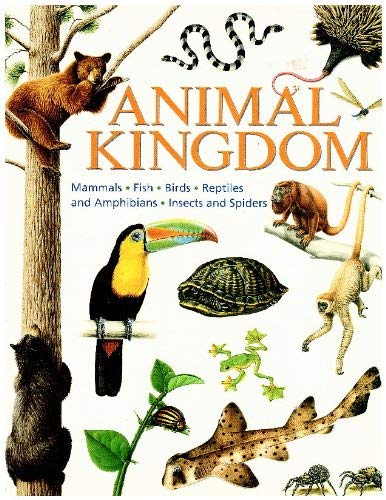 Beispielbild fr Animal Kingdom (Animal Lives) zum Verkauf von NEPO UG