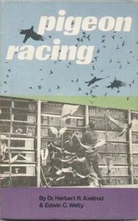 9780706123876: Pigeon Racing