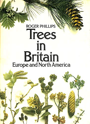 Beispielbild fr Trees in Britain, Europe and North America zum Verkauf von WorldofBooks