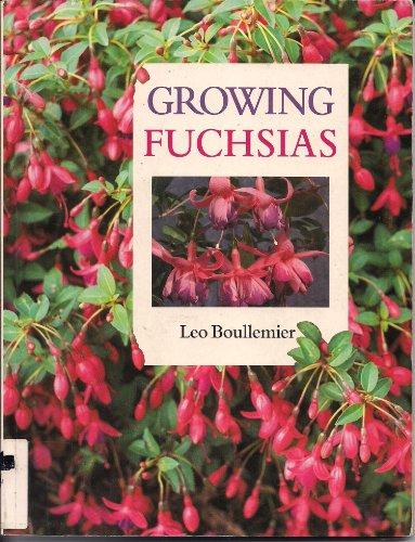 Beispielbild fr Growing Fuchsias zum Verkauf von WorldofBooks