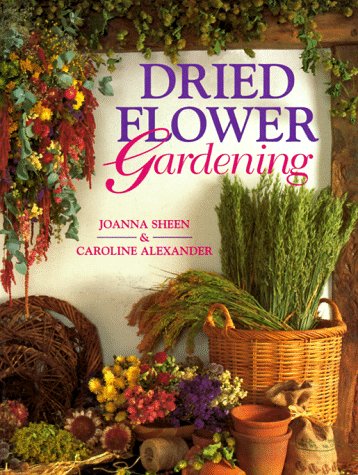 Imagen de archivo de Dried Flower Gardening a la venta por Wonder Book