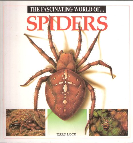 Beispielbild fr Fascinating World of Spiders (Fascinating world of animals) zum Verkauf von WorldofBooks